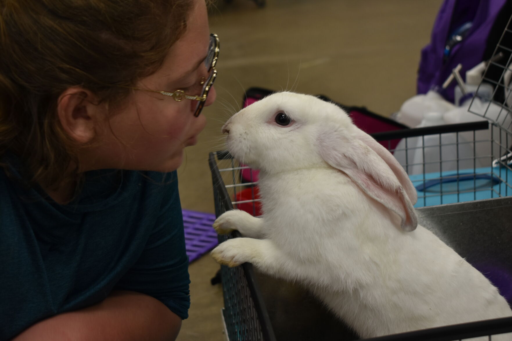 East Texas Rabbit Breeders Association’s Rabbit Show